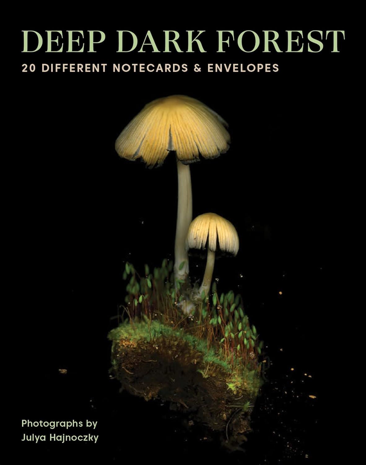 Notecard set cover with glowing mushrooms on a dark background
