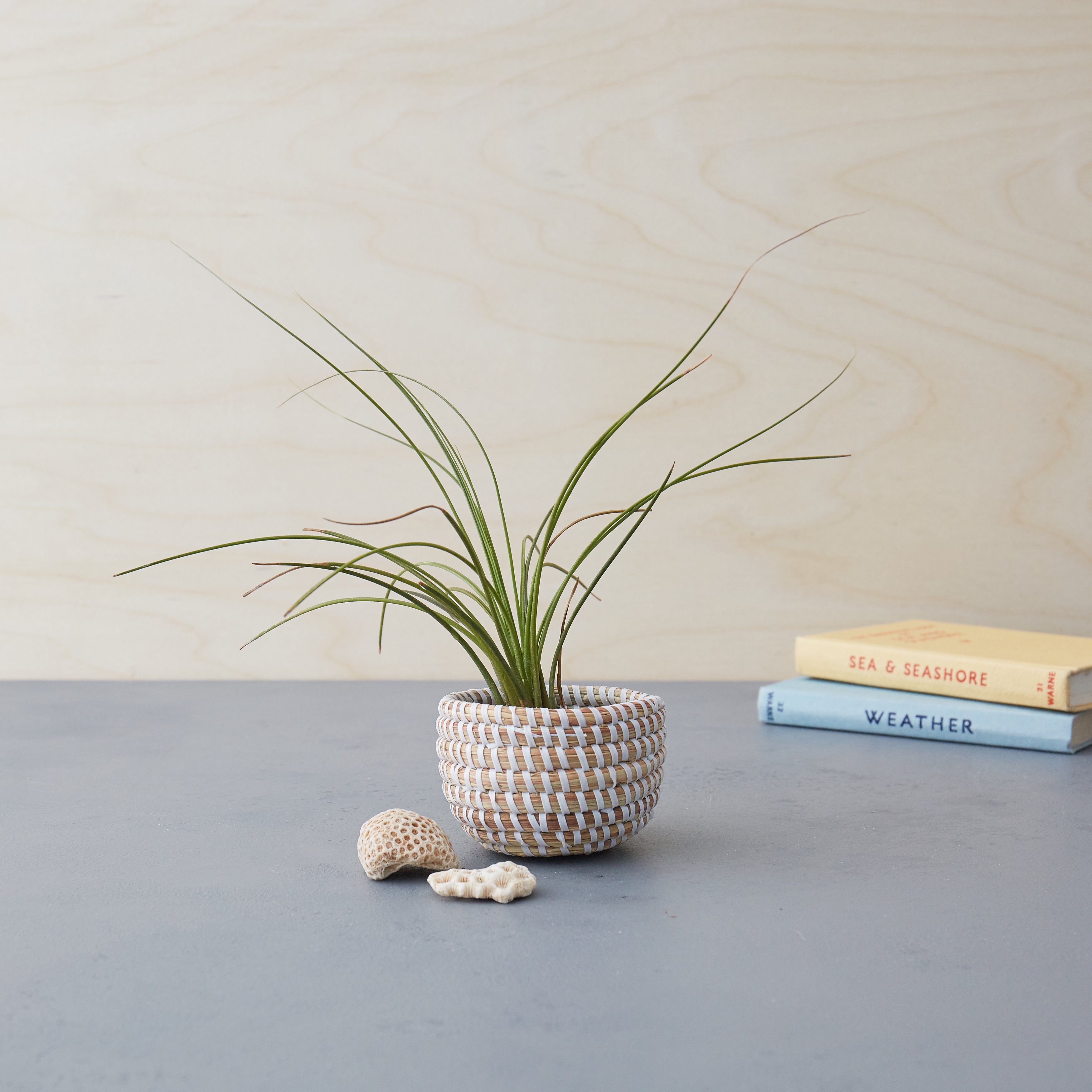 Handwoven Basket