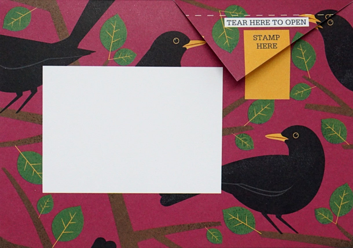 Dawn Chorus Pigeon Origami Envelopes