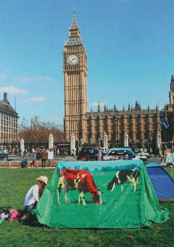 Grazing the Common Postcard