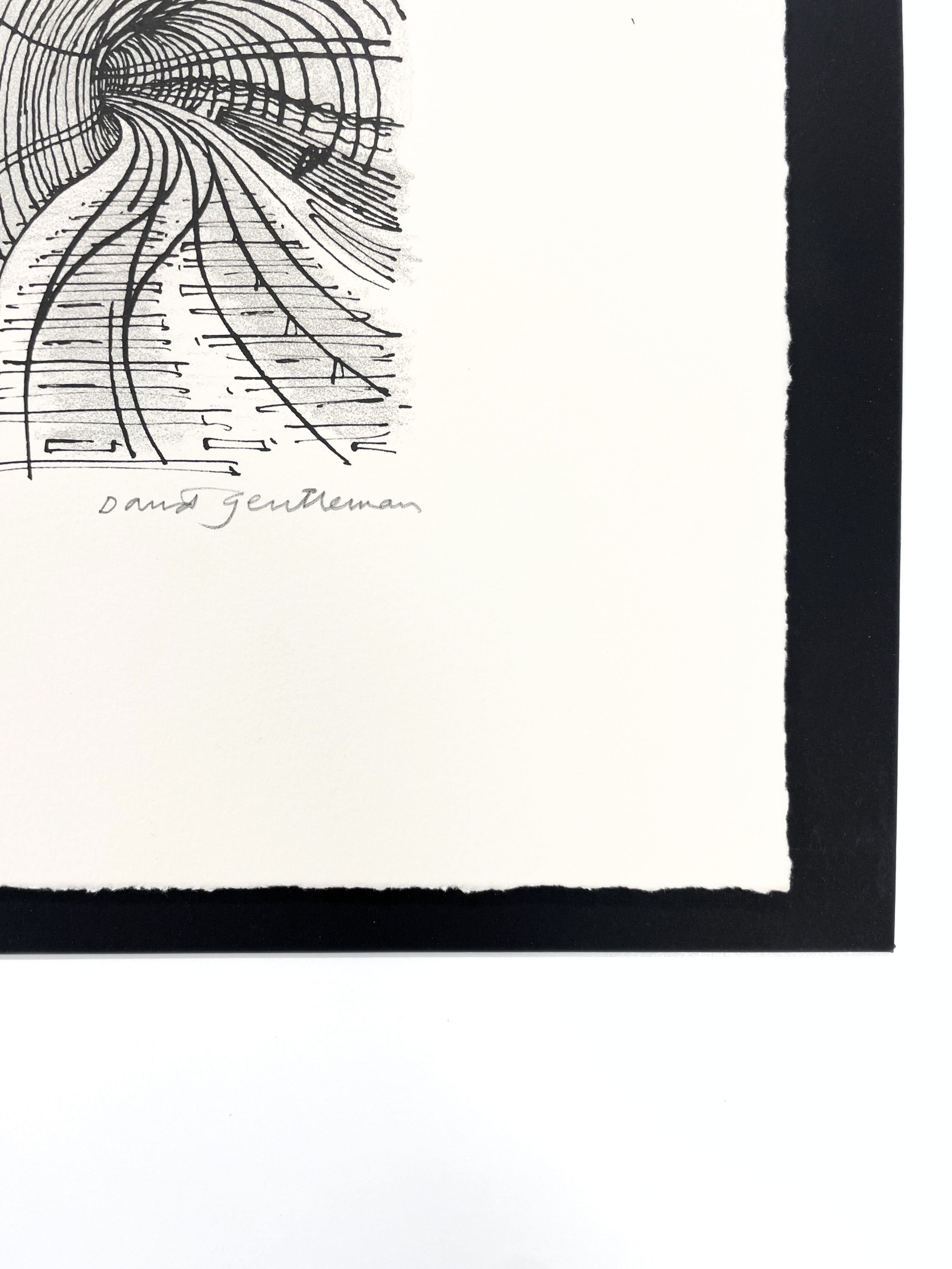 Limited Edition David Gentleman Mail Rail Print