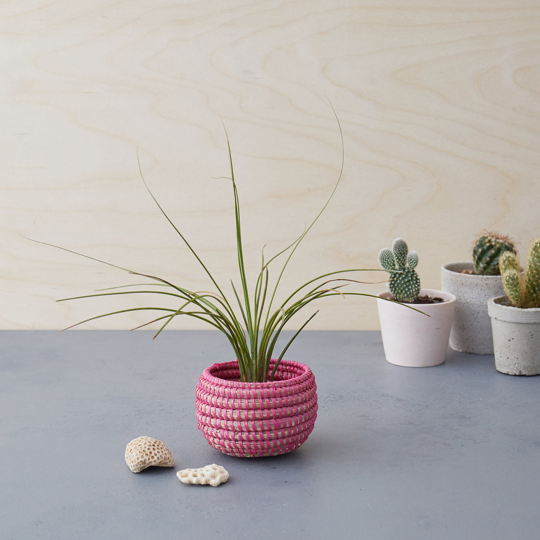 Handwoven Basket