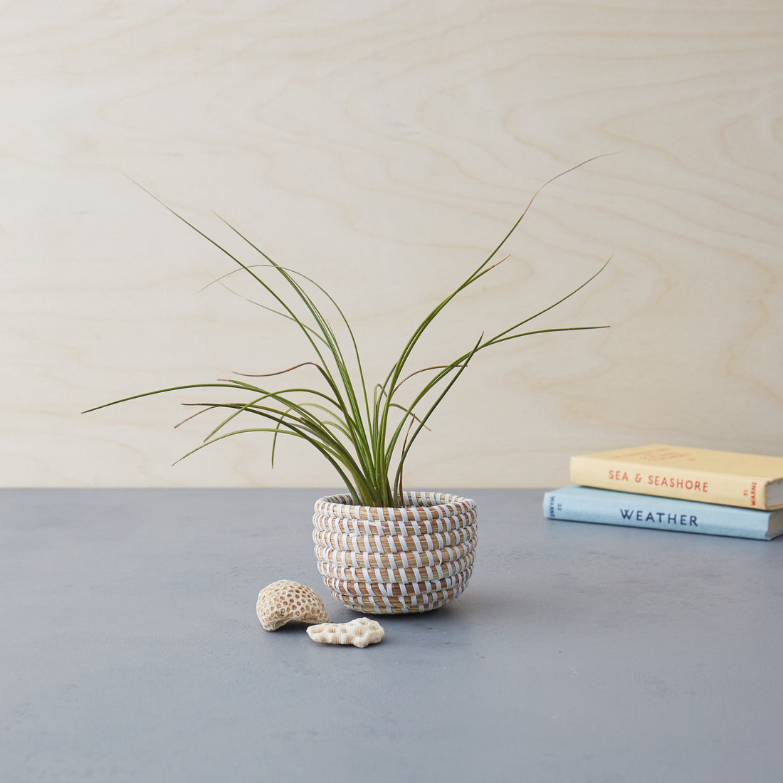 Handwoven Basket