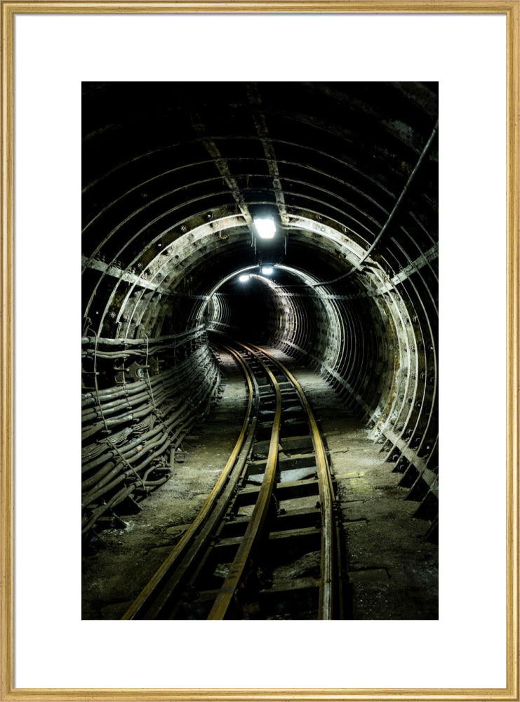 Bend in the Tracks (art print, extra large, gold)